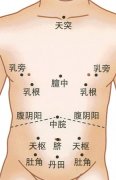 花都小兒推拿培訓|小兒推拿常用穴位：胸腹部穴位