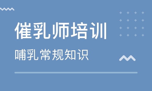 催乳師培訓(xùn)多少錢